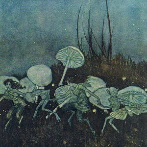 Meet your Posher, Janeth